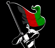 Viva afg